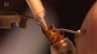 Künstliche Befruchtung vom 04.07.2014: Wie man Bienen vermehren kann | BR Mediathek VIDEO